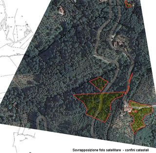 Immagine satellitare con mappa catastale